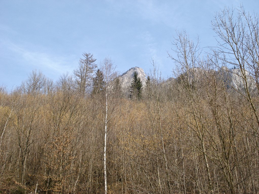 30 Hier oben am Roethelstein war meine Raststelle.JPG